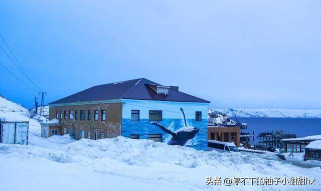 世界尽头排长队坐最孤独秋千尊龙凯时中国人北极圈春运在(图7)