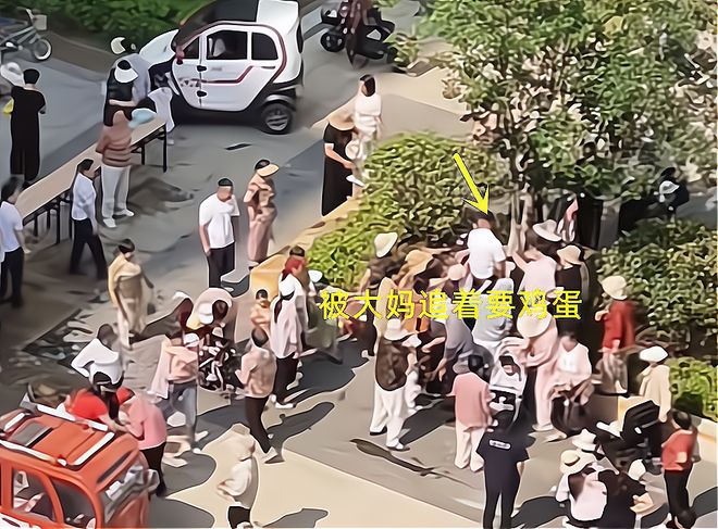 包粽子大妈连盆都端走了还围堵物业要鸡蛋z6尊龙·中国网站山东：小区端午免费(图3)